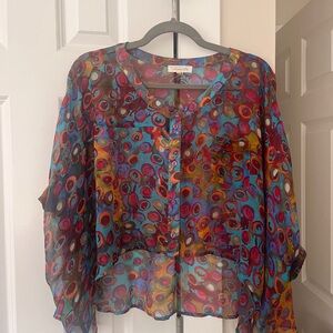 Sugarlips Multicolor Sheer Boxy Blouse